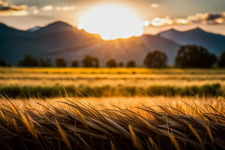 The Road to Reconciliation: A Journey of Healing and Second Chances
